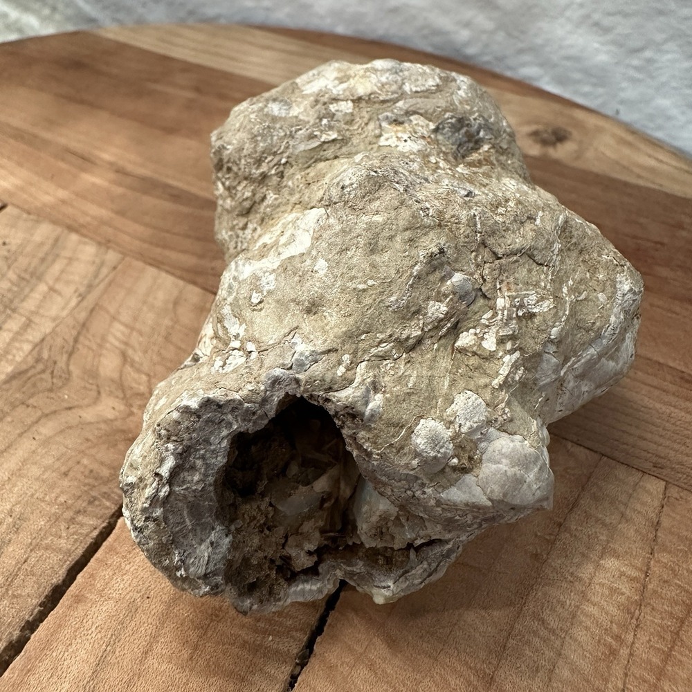 Spherulitic Rhyolite Rock Mineral Specimen Xtal Vug 3.5 Inch Vesuvius Hill Yukon